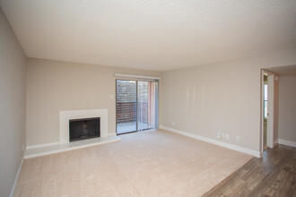 Vine Apartments in Arlington, TX - Building Photo - Interior Photo