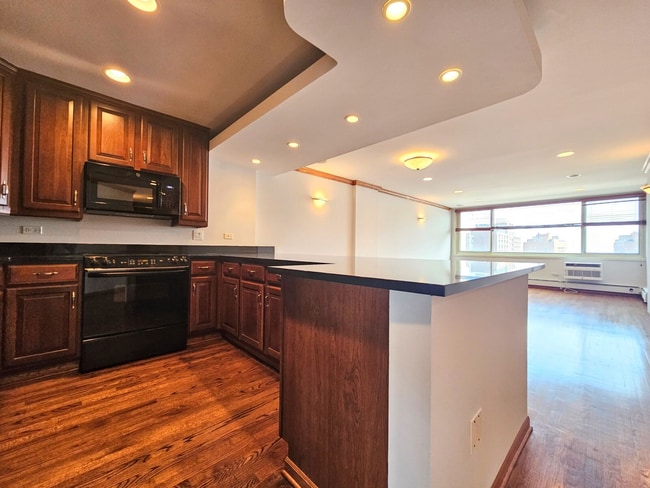 1356 N Dearborn St, Unit 1344-17 in Chicago, IL - Building Photo - Building Photo