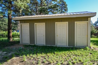 1144-1225 Holiday Ln in Estes Park, CO - Building Photo - Building Photo