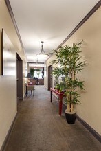 669-679 Portola Dr in San Francisco, CA - Building Photo - Building Photo