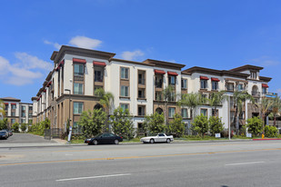 Alta South Bay Apartments