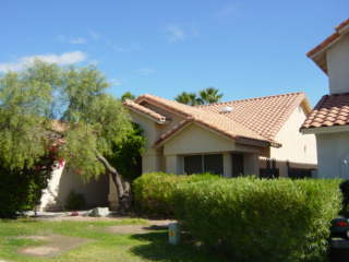 16807 S 31st Way in Phoenix, AZ - Building Photo