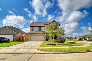 26923 Zebra Grass Dr in Katy, TX - Building Photo