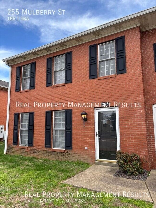 255 Mulberry St in Evansville, IN - Building Photo - Building Photo