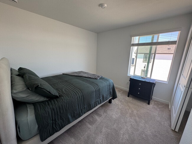 9156 Percheron Pony Dr in Colorado Springs, CO - Foto de edificio - Building Photo