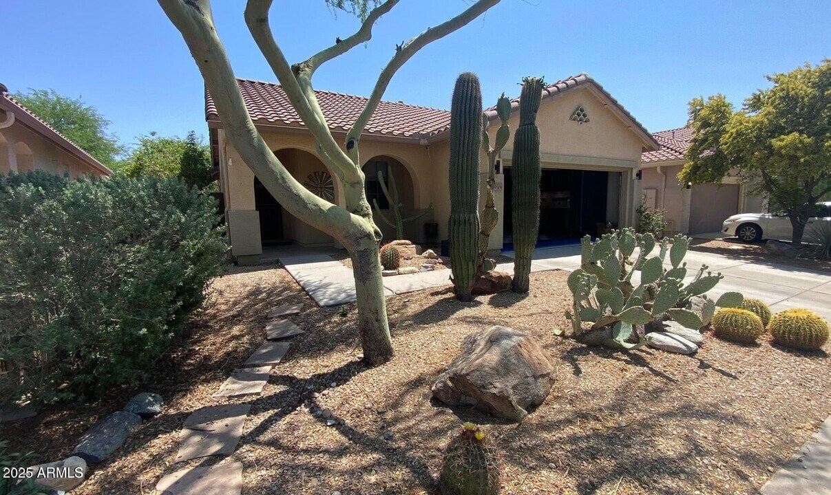 39519 N White Tail Ln in Anthem, AZ - Building Photo