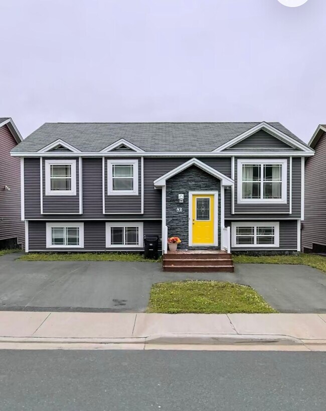 property at 42 Lady Anderson Street