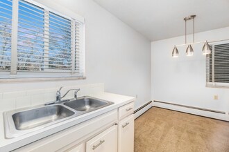 301 Peterson St in Fort Collins, CO - Building Photo - Building Photo