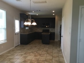 19554 Plantation Cove Ln in Katy, TX - Building Photo - Building Photo