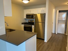 551 N State St in Chicago, IL - Building Photo