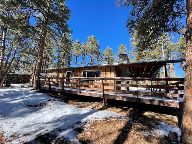 26695 Bradley St in Conifer, CO - Building Photo - Building Photo