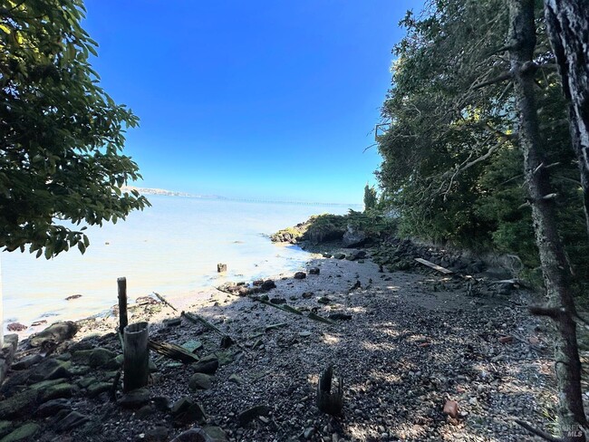 5148 Paradise Dr in Corte Madera, CA - Building Photo - Building Photo