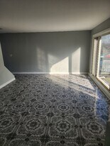 8929 Robin Dr in Des Plaines, IL - Building Photo