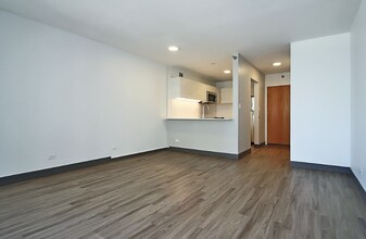 380 E Ohio St in Chicago, IL - Building Photo - Building Photo