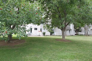 4255 Westshore Way in Fort Collins, CO - Building Photo