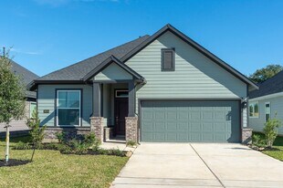 16835 Solomons Plume Ln in Cypress, TX - Building Photo