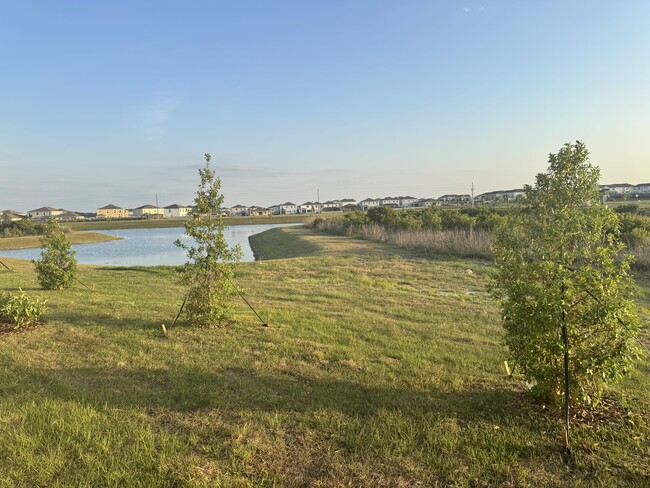 32050 Spiceberry St in San Antonio, FL - Building Photo - Building Photo