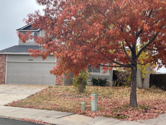 7023 Bonnie Brae Ln in Colorado Springs, CO - Foto de edificio - Building Photo