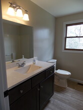 115 Minechoag Heights, Unit 115 in Ludlow, MA - Building Photo - Building Photo