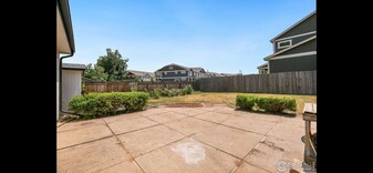 1625 Enfield St in Fort Collins, CO - Foto de edificio - Building Photo