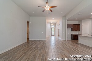 1239 Yaupon Loop in New Braunfels, TX - Building Photo - Building Photo