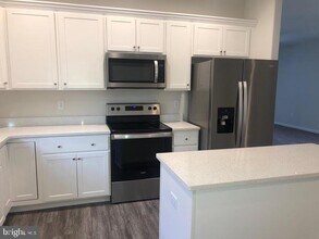 10 Backwater Ct in Milford, DE - Building Photo - Building Photo