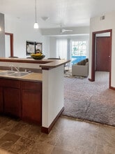Riverview Place in Cedar Rapids, IA - Building Photo - Building Photo