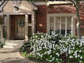 4106 University Blvd in Dallas, TX - Building Photo