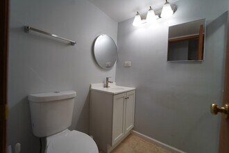 1008 Southbridge Ln in Schaumburg, IL - Building Photo - Building Photo