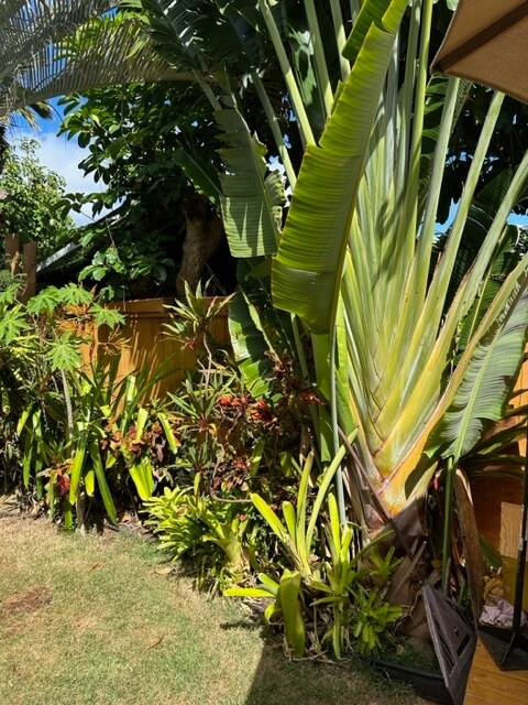 4405 Sierra Dr, Unit Studio Tropical Pond