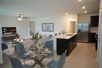20926 Drake Elm Dr in Land O Lakes, FL - Building Photo - Building Photo