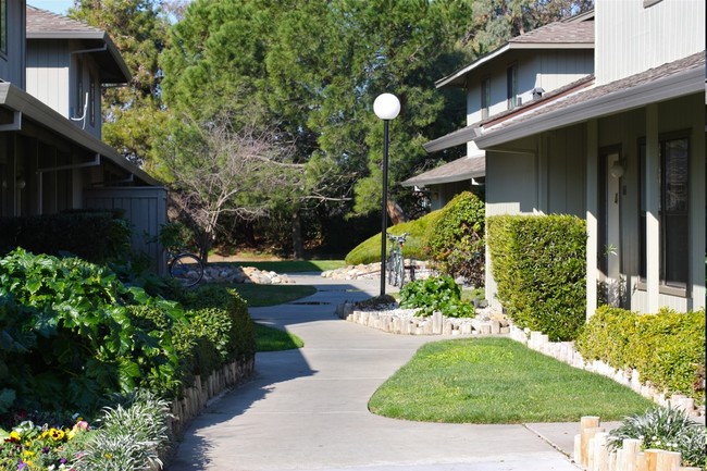 Sequoia Apartments in Davis, CA - Building Photo - Building Photo