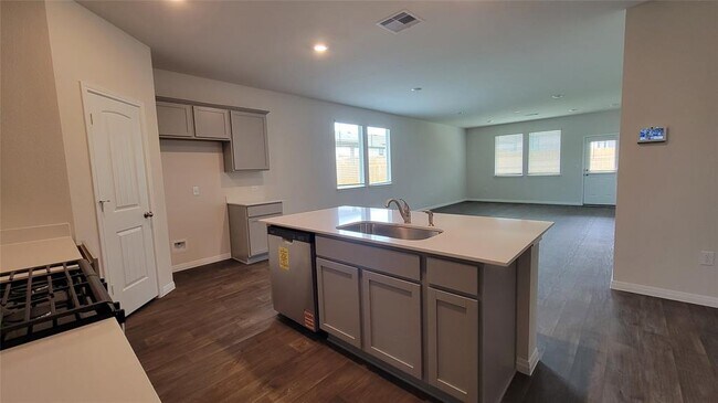 125 Palo Pinto Dr in Kyle, TX - Building Photo - Building Photo