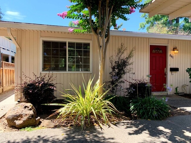 841 Division St in Pleasanton, CA - Building Photo - Building Photo