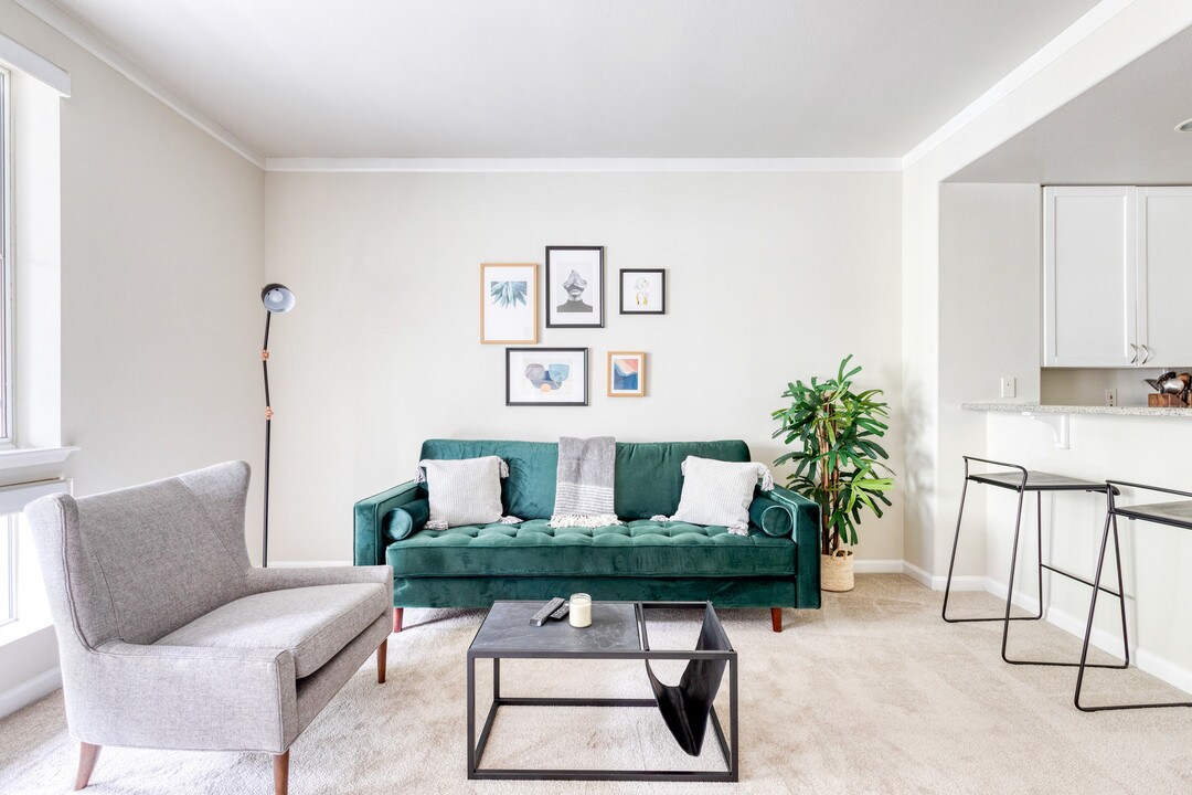 337 S Fremont St in San Mateo, CA - Building Photo