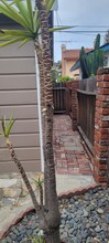 24245 Neece Ave in Torrance, CA - Building Photo - Building Photo