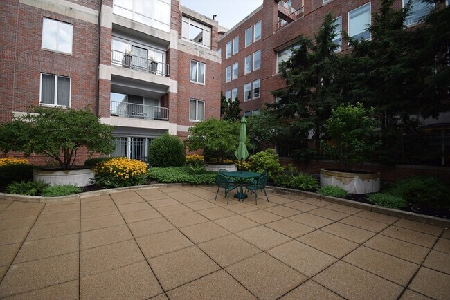 130 Mt Auburn St in Cambridge, MA - Building Photo - Building Photo