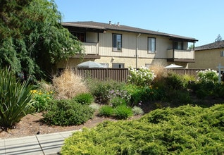 663 Homestead Rd in Sunnyvale, CA - Foto de edificio - Building Photo