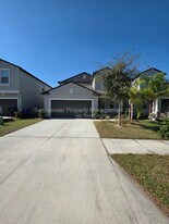 3719 Daisy Bloom Pl in Tampa, FL - Building Photo