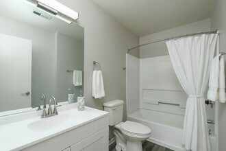 The Emerson Apartments in Johnson City, TN - Building Photo - Building Photo