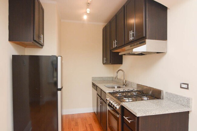 4742 N Hermitage Ave in Chicago, IL - Building Photo - Building Photo
