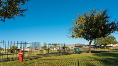 Desert Harbor in Apache Junction, AZ - Building Photo - Other