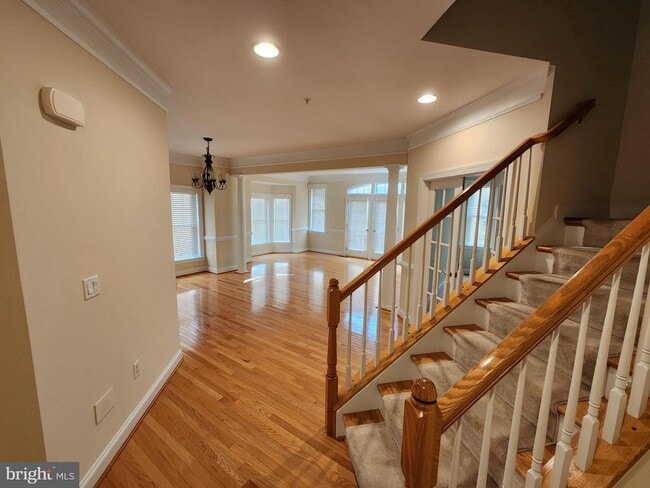 9602 Silken Leaf Ct in Laurel, MD - Building Photo - Building Photo