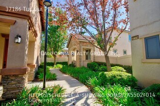 37186 Tucana Pl in Murrieta, CA - Building Photo - Building Photo