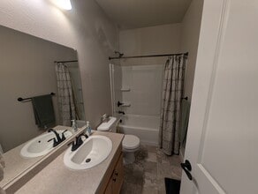 2353 Sublime Dr in Windsor, CO - Building Photo - Building Photo