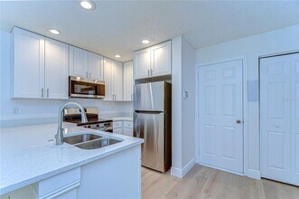 4239 Winding River Way in Land O Lakes, FL - Building Photo - Building Photo
