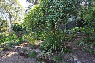 719 Jean St in Oakland, CA - Building Photo - Building Photo