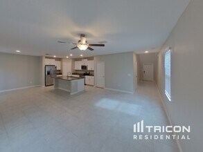 13335 Willow Bluestar Lp in Riverview, FL - Foto de edificio - Building Photo
