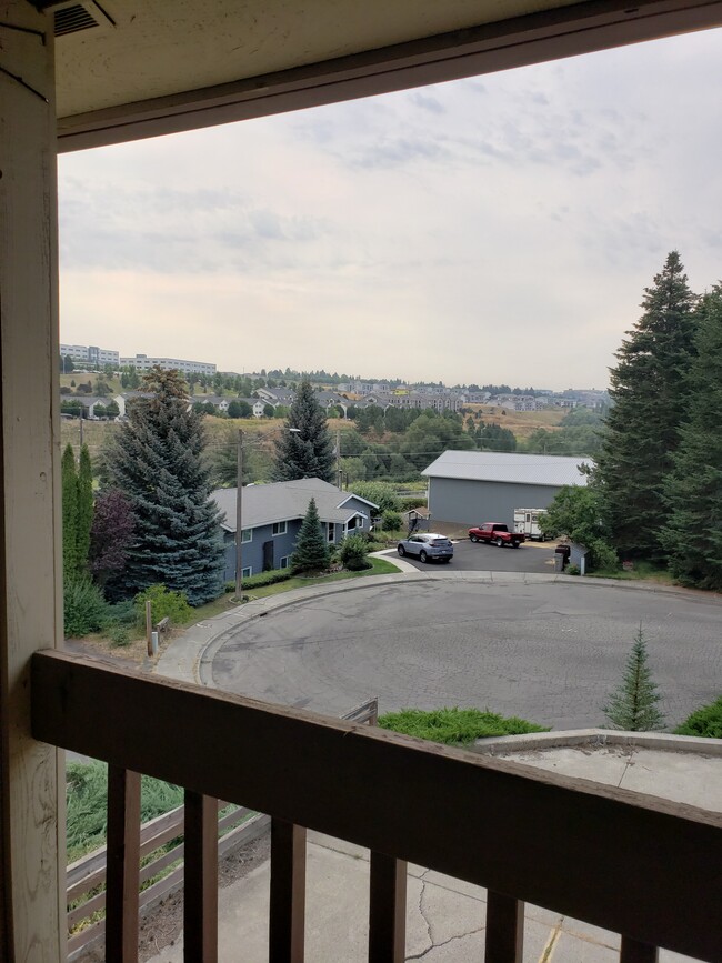 80 NW Thomas St, Unit 2 in Pullman, WA - Building Photo - Building Photo