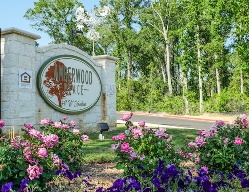 Amberwood Place in Longview, TX - Foto de edificio